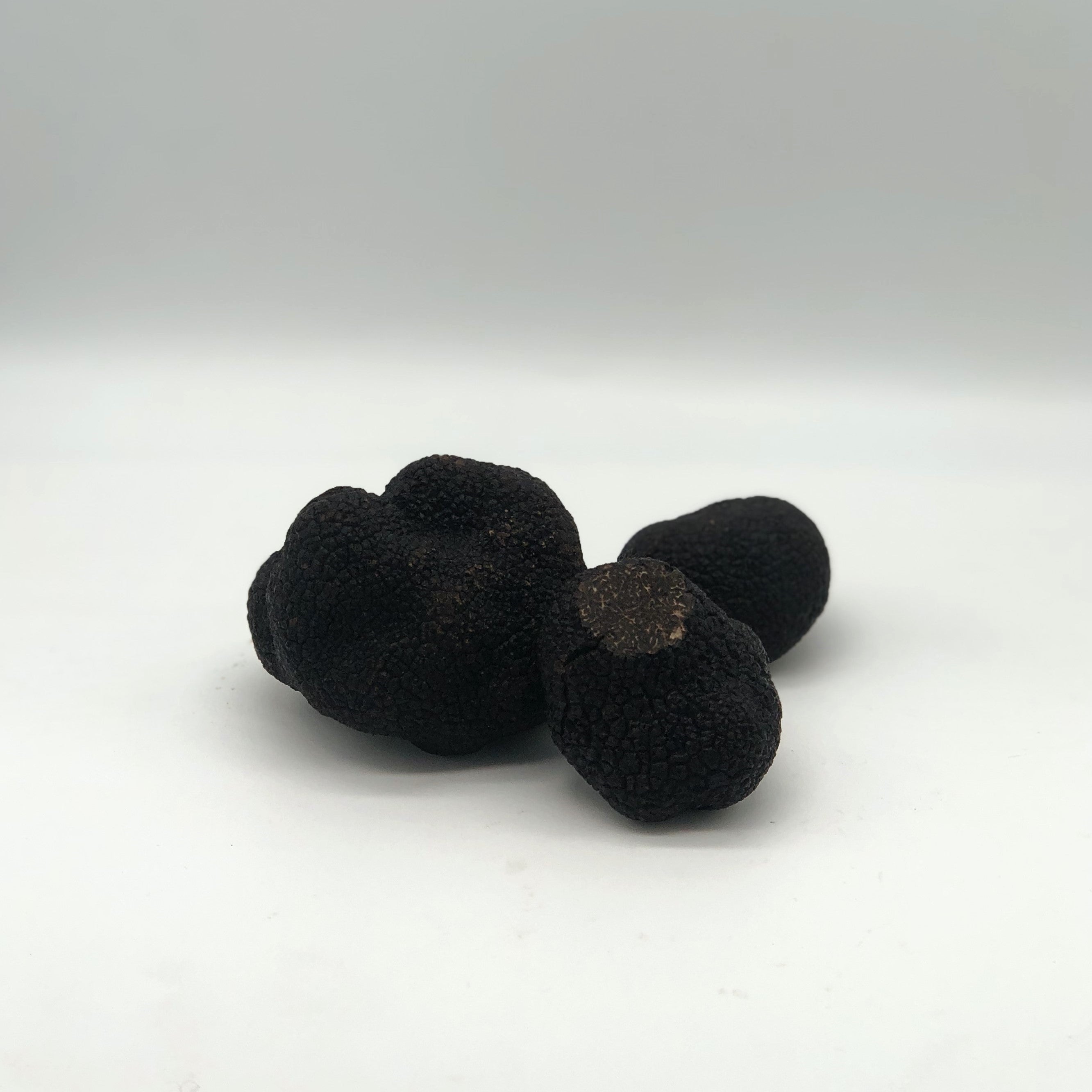 La truffe Noire du Périgord: La Tuber Melanosporum