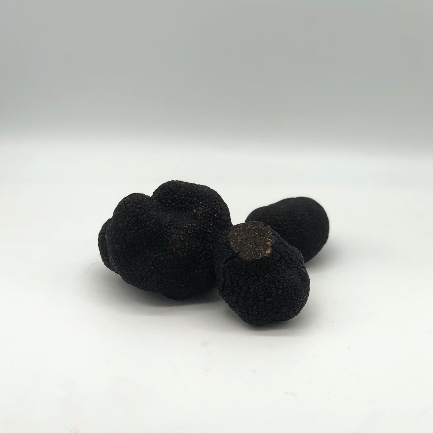 LA TRUFFE NOIRE D'AUSTRALIE