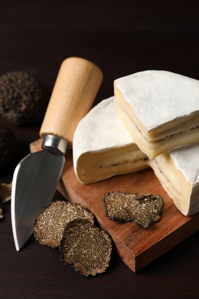 brillat-savarin-truffe