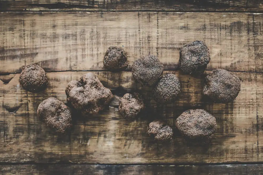 truffe-planche-bois