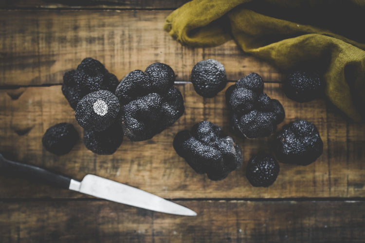 Bannière de la collection