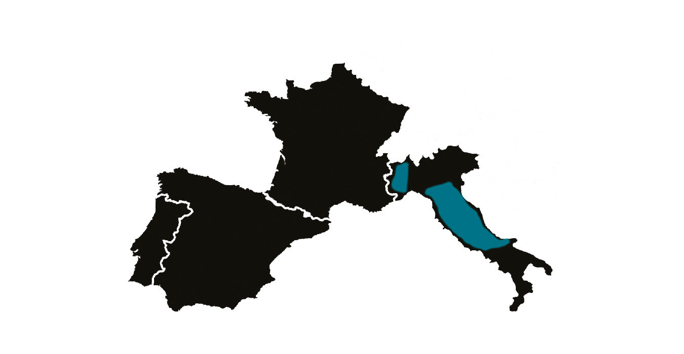 truffe-blanche-alba