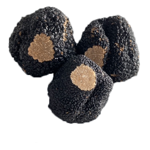 Brisures de truffes d'été Tuber aestivum biologiques 50 g La Cerca