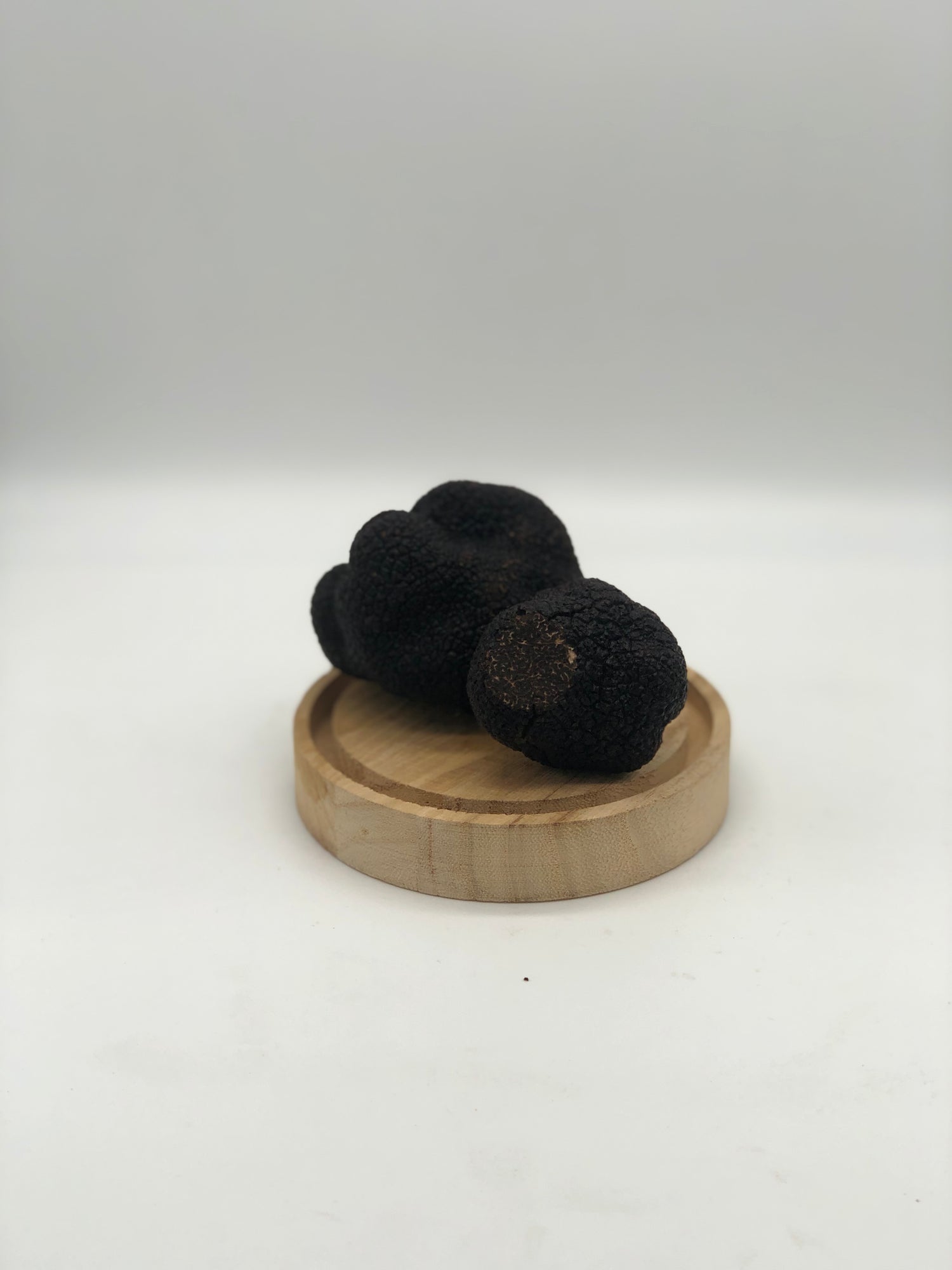 truffe-noire-australie