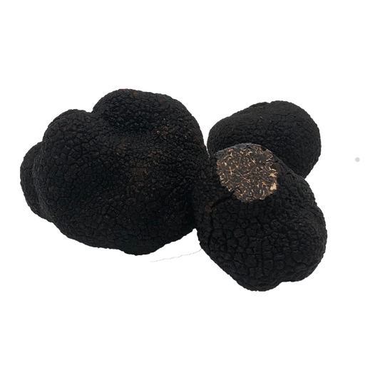 truffe-noire-australie
