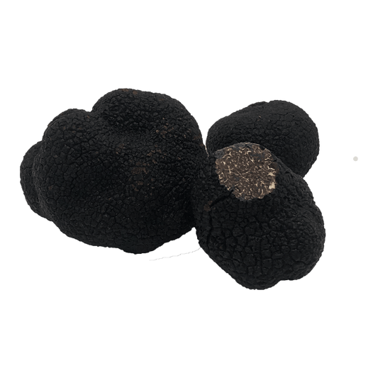 truffe-noire-australie