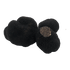 truffe-noire-australie