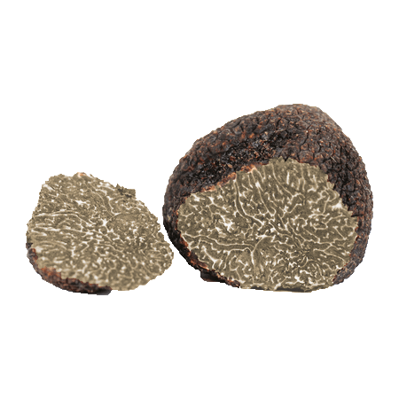 truffe-bourgogne