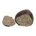truffe-bourgogne