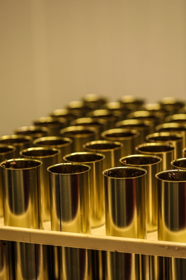 Truffes entières 1er CHOIX