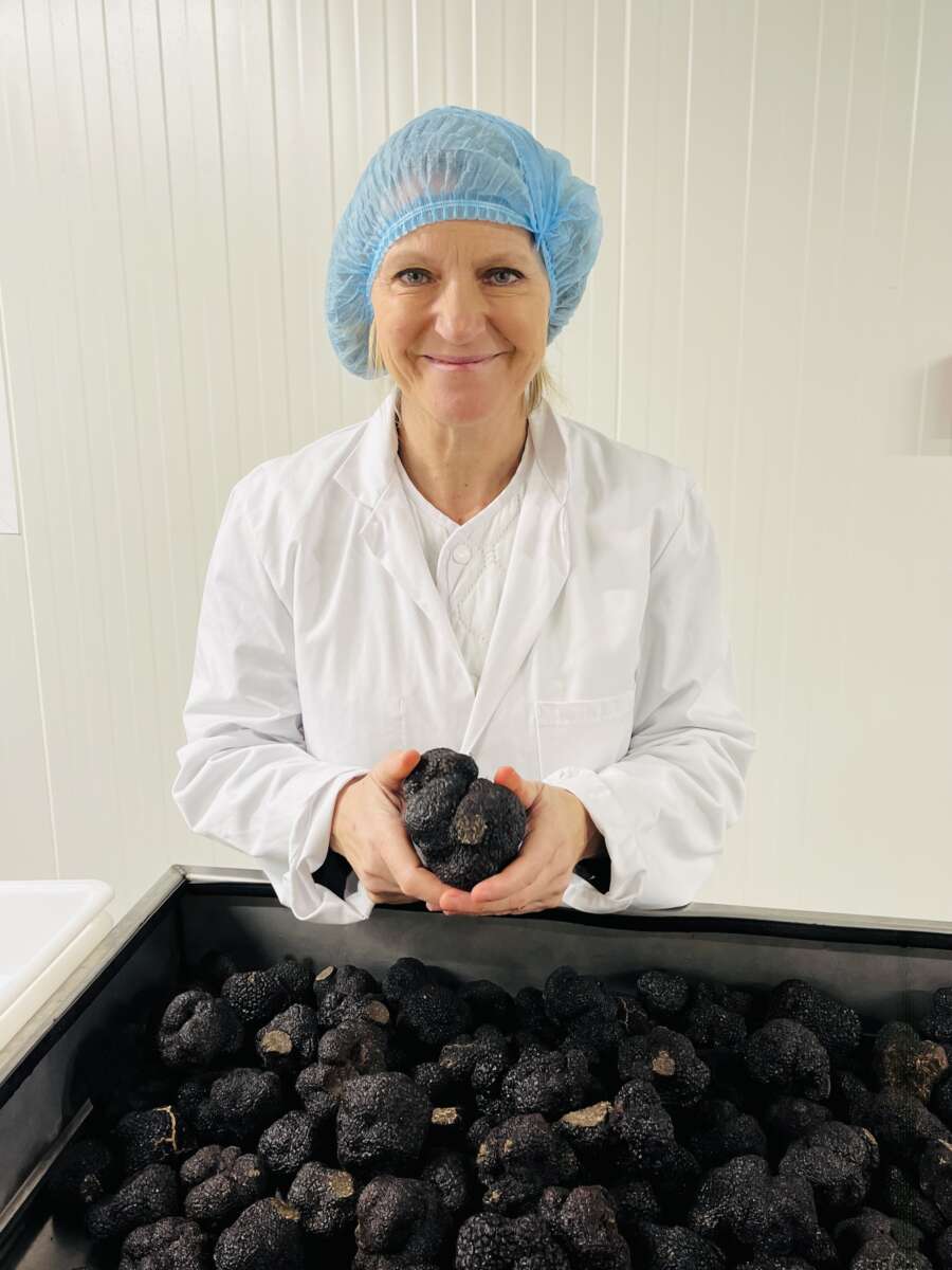 Truffes noires fraîches EXTRA Entières