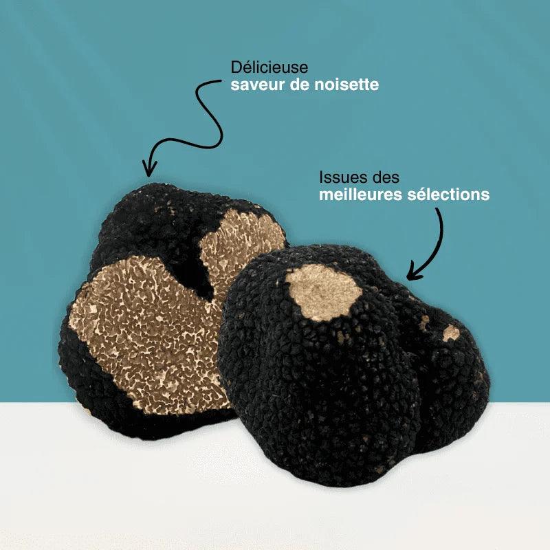 Truffe d'été fraîche : Tuber Aestivum de qualité supérieure