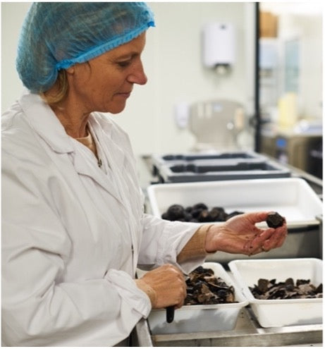 Truffes noires lamelles