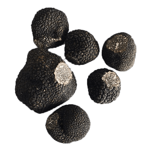 Extra fresh black truffles