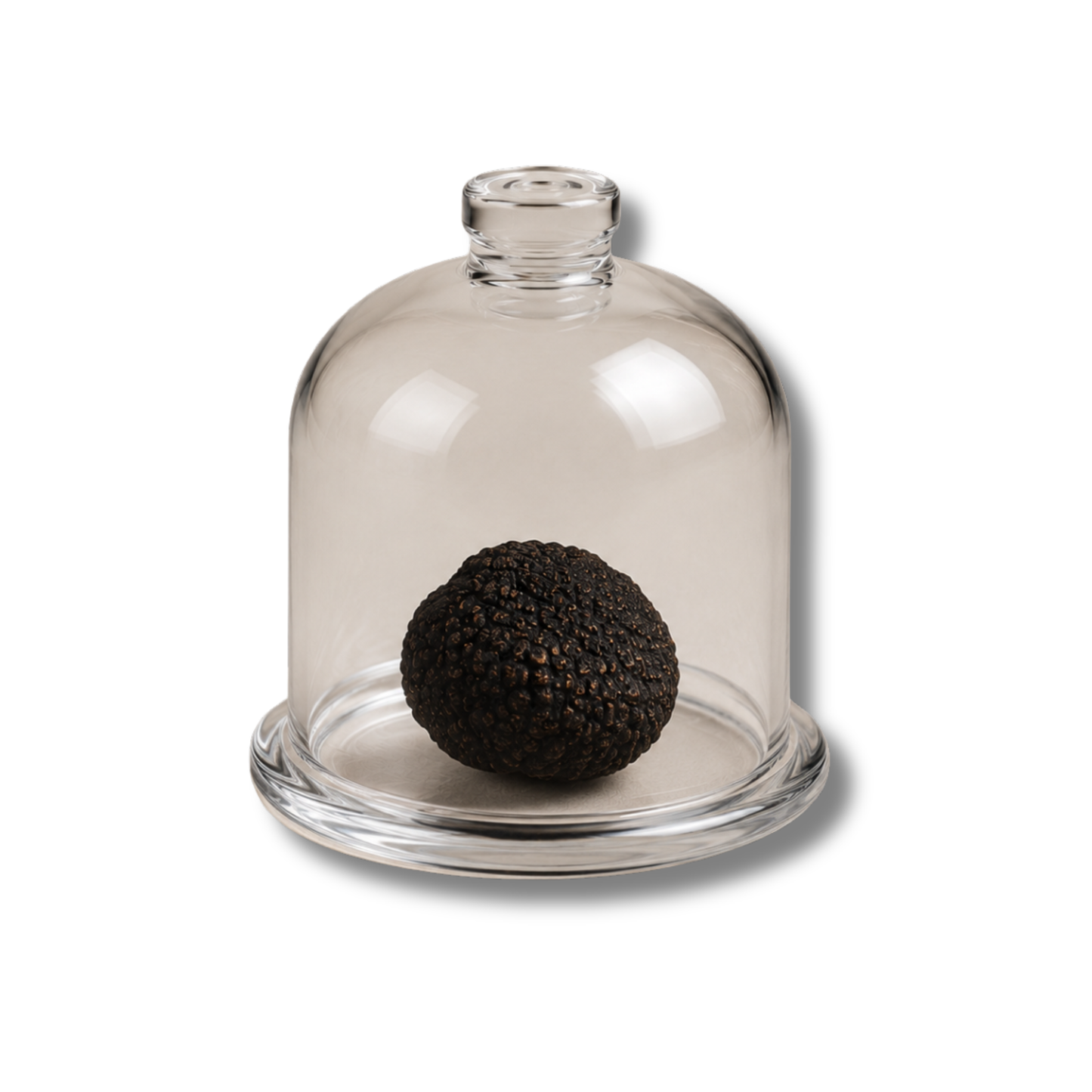 Les cloches de présentation