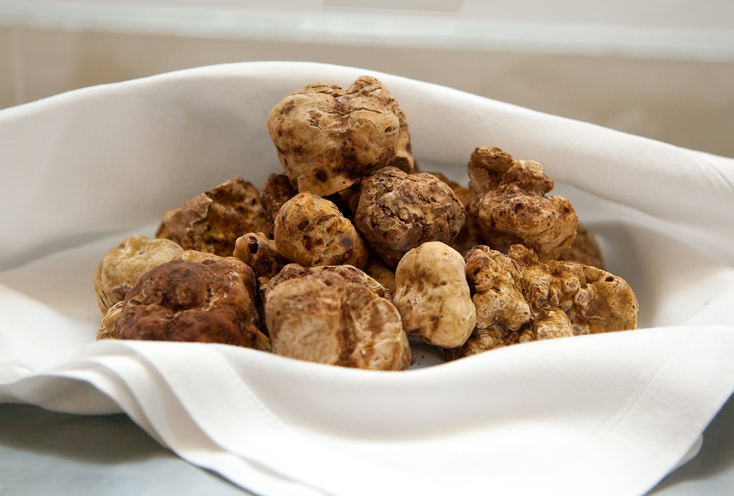 La crème de truffe blanche faite à partir de la meilleure variété de truffe