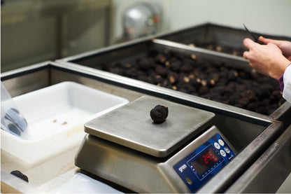Truffes noires entières EXTRA