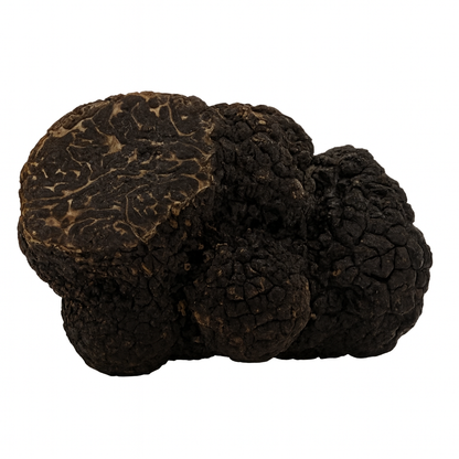 Truffes noires fraîches 1er choix entières