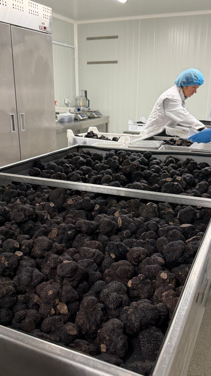 Truffe noire du périgord 1er choix surgelés
