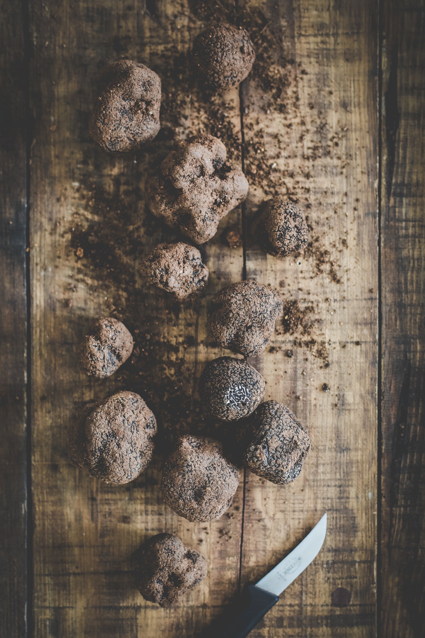 truffe-noire