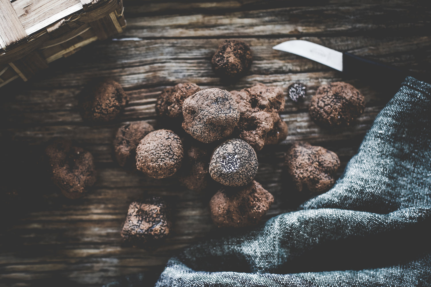 Conserver une truffe fraîche: comment procéder? – La Mémé du Quercy