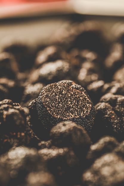 Pieces of fresh Argentinian black truffles