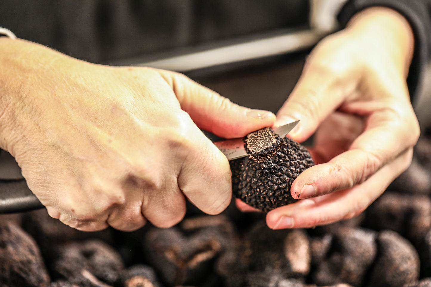 Morceaux de truffes noires fraîches