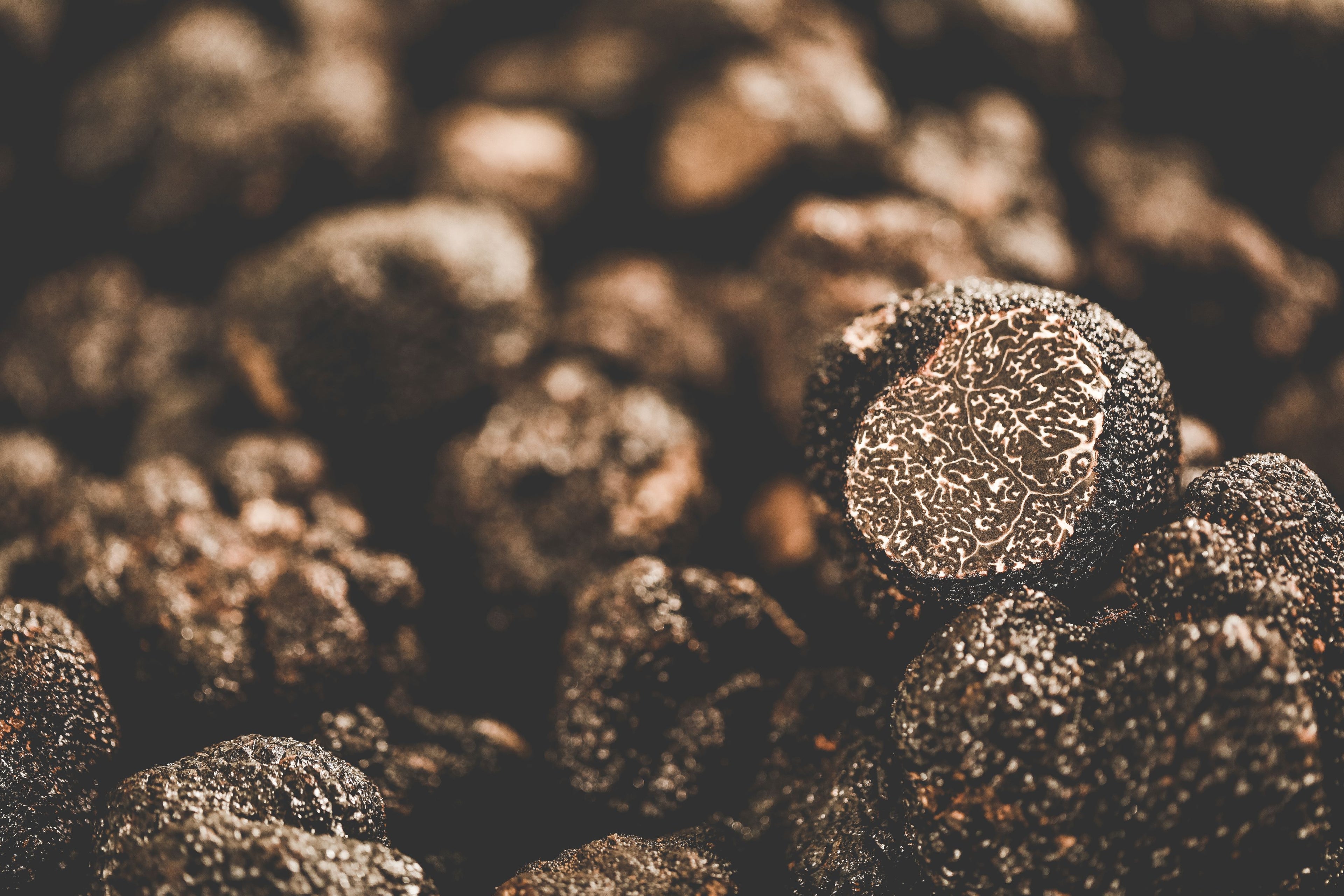 Broken black truffles – SAS TRUFFUS - MAISON HENRAS 1820