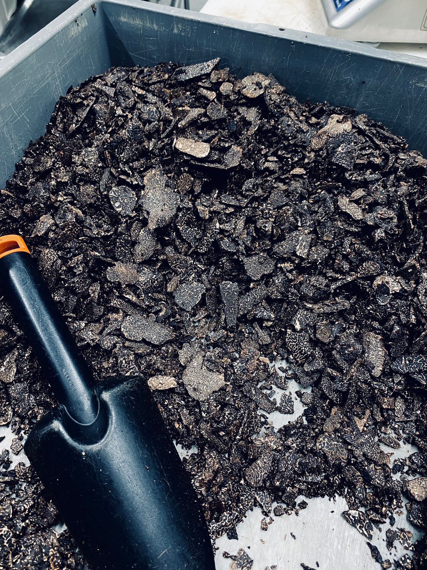 Brisure de truffes noires du Périgord fraîche