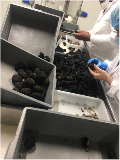 Morceaux 1ère ébullition de Truffes noirs du Périgord