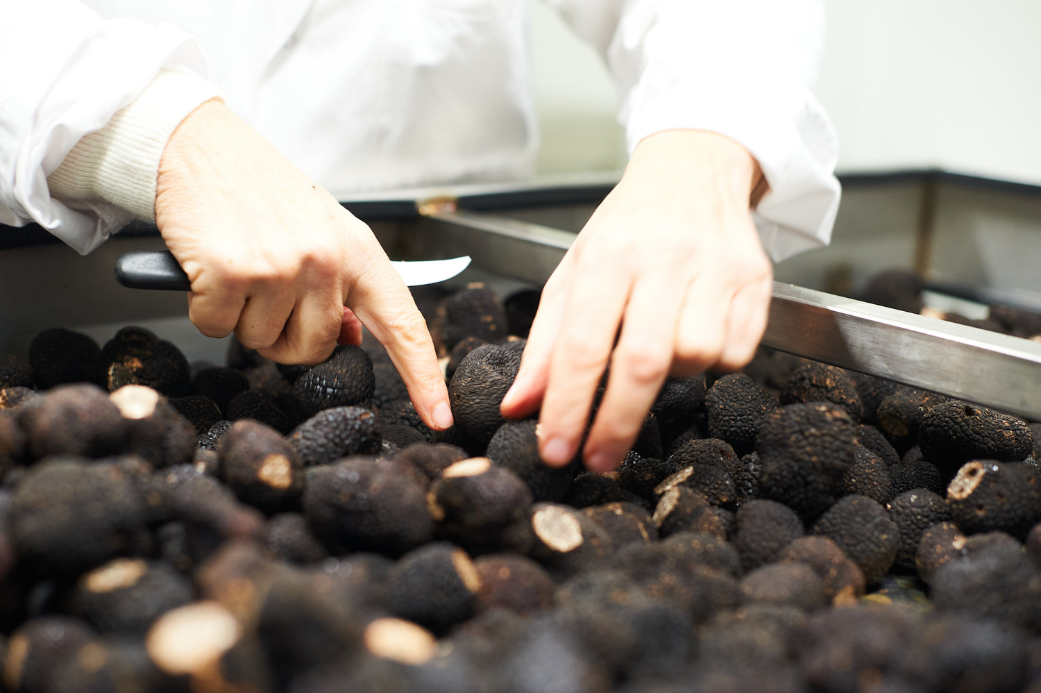 savoir-faire-selection-truffe