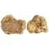 truffe-alba