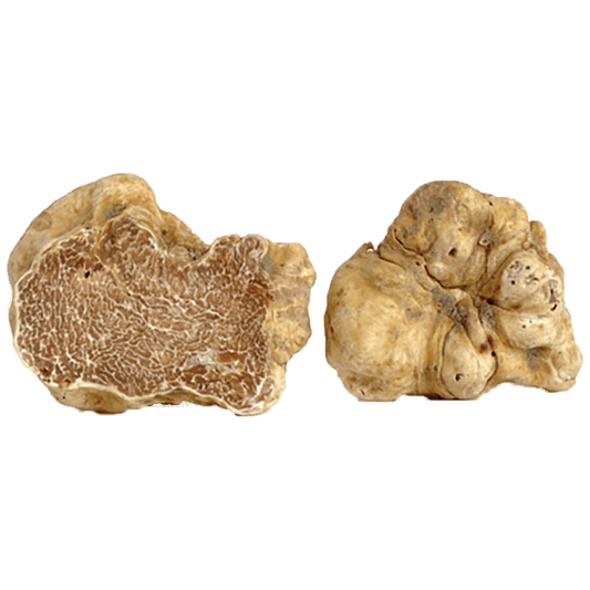 Truffealba_1261f88f-920a-475b-94a7-3f2bcde08e38.png?v=1713951758&width=533