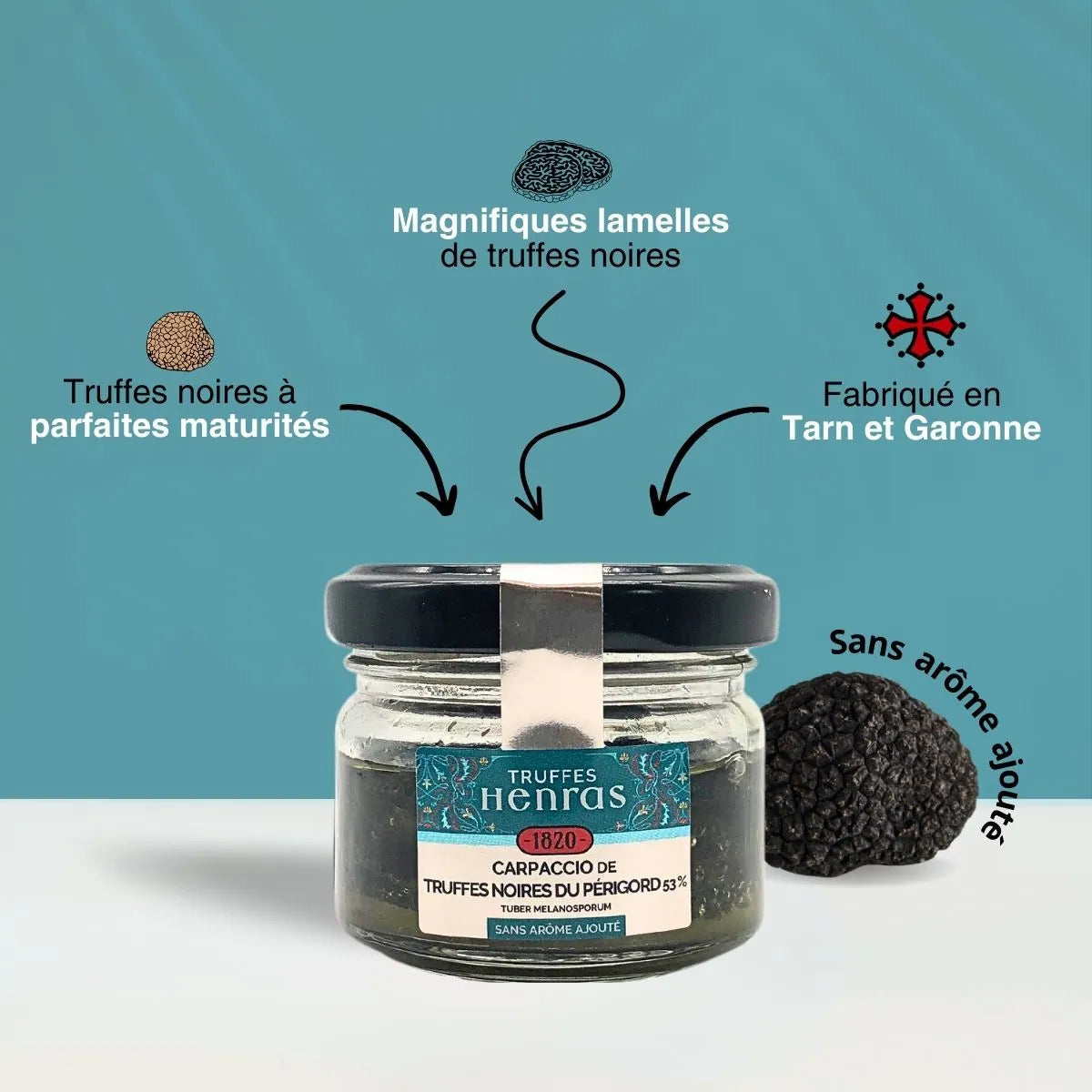 infographie-carpaccio-truffe