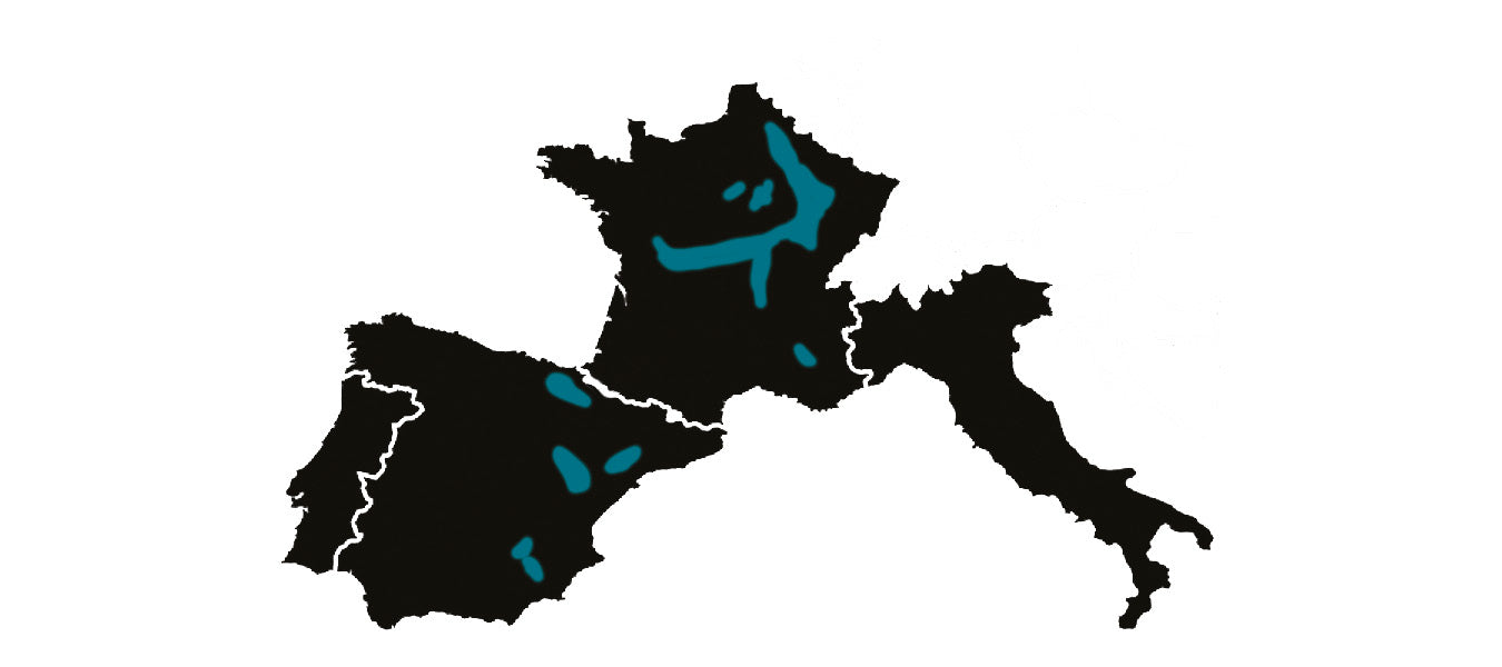 region-truffe-bourgogne