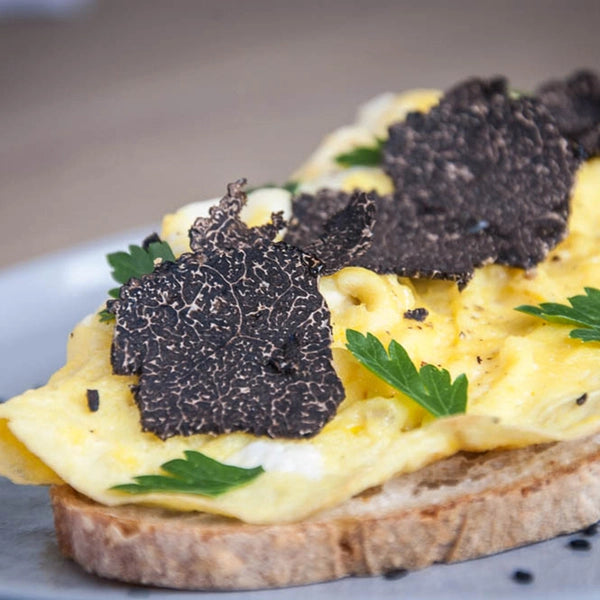 utilisation-truffe-noire-omelette