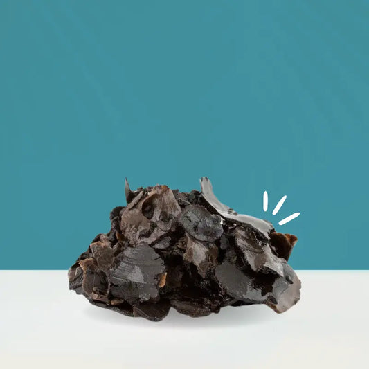 pelures-truffes-noires-surgelees