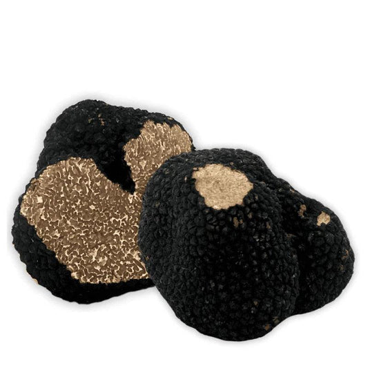 Truffe d'été fraîche : Tuber Aestivum de qualité supérieure