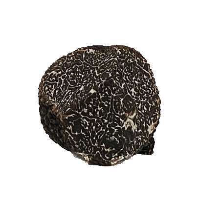 truffe-noire-morceaux