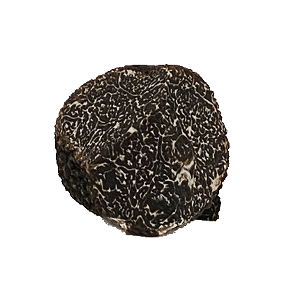 Creuser Pour Récupérer La Truffe À La Découverte De La Truffe 13 Pizza à la truffe – MAISON HENRAS 1820