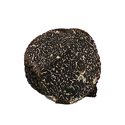 Truffes noires du Périgord en éclats 15g (Tuber Melanosporum) - MAGDA